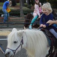 Annual Fall Carnival